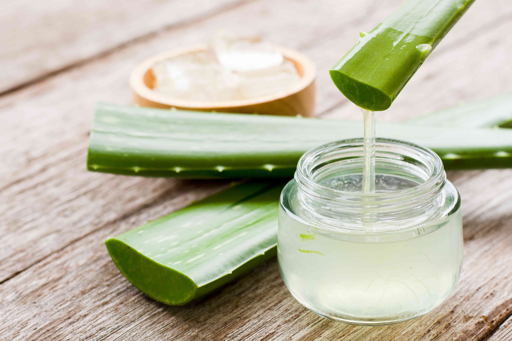 Unabhängiger Distributor von Forever Living Products: Entdecken Sie Aloe Vera Forever Lips