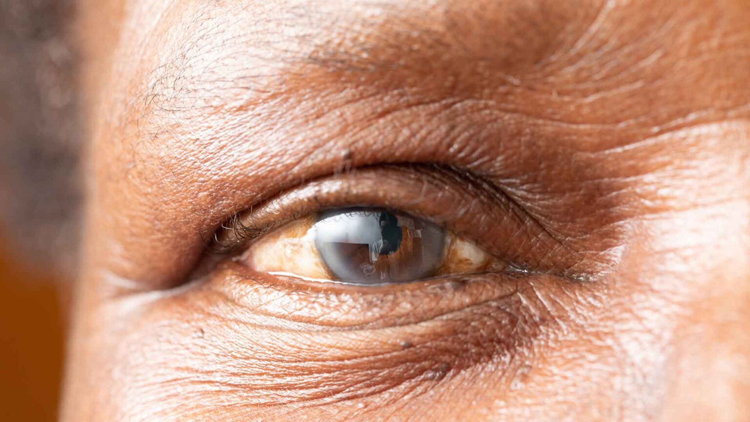 Elan Lamination: Premium-Qualität für Wimpernverlängerungen bei LashLink